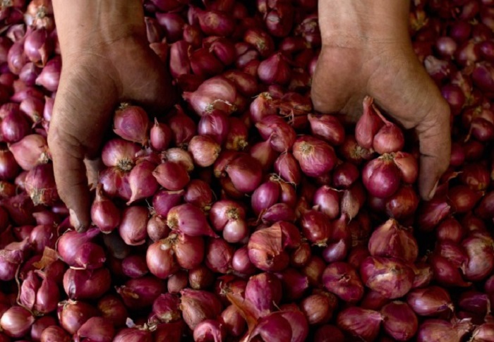 Onion प्याज की बढ़ती कीमतों पर रोक लगाने के लिए सरकार का बड़ा कदम, निर्यात पर रोक