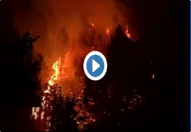 uttarakhand 01 देखिए जंगलों मे आग का तांडव और पेड़ों की तबाही