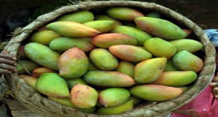 Mango महंगाई से हलकान...मिठाई पर भारी पड़ रहा सस्ता आम