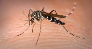 DENGUE बच्‍चों में दिखे ये लक्षण, तो करवाएं इलाज, हो सकता है डेंगू