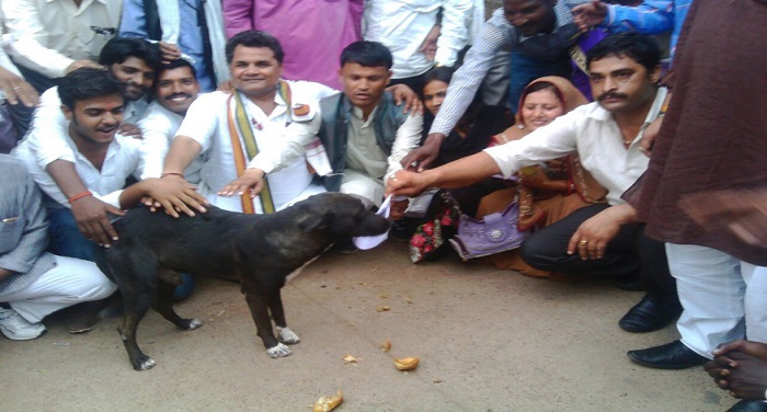 MP मध्य प्रदेश में गजब हुआ: कुत्ते को दिया ज्ञापन