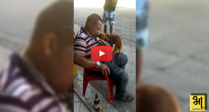 viral video जब किया इस कुत्ते ने कुछ ऐसा तो...देखिए वीडियो
