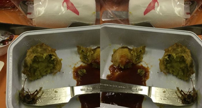 AIR INDIA एयर इंडिया के खाने में कॉकरोच, यात्री ने ट्वीट की तस्वीर