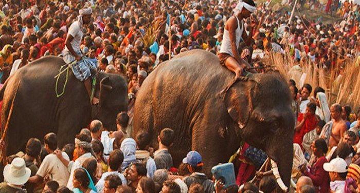 sonpur बिहार में शुरू हुआ विश्व प्रसिद्ध सोनपुर मेला, सुरक्षा के पुख्ता इंतजाम