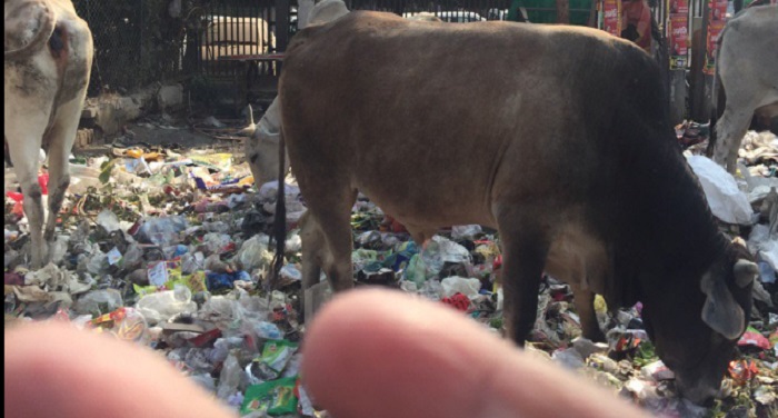 dumb निगमकर्मी हड़ताल पर, पूर्वी दिल्ली में कूड़े के ढेर