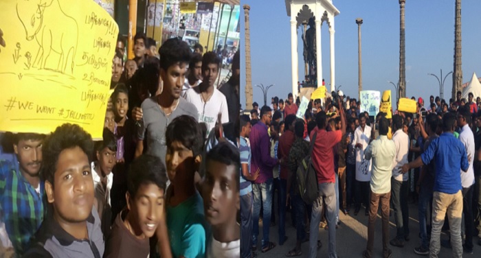 jalikattu जल्लीकट्टू विवादः तमिलनाडु में चक्का जाम