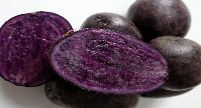 purple potatoes बैंगनी आलू में छुपे है खूबसूरती के कई राज!