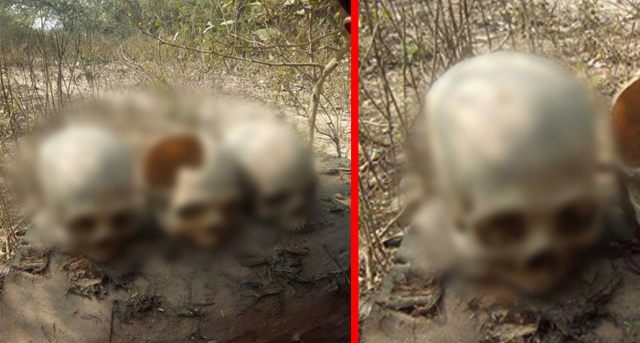 skull नरकंकाल मिलने से इलाके में फैली सनसनी