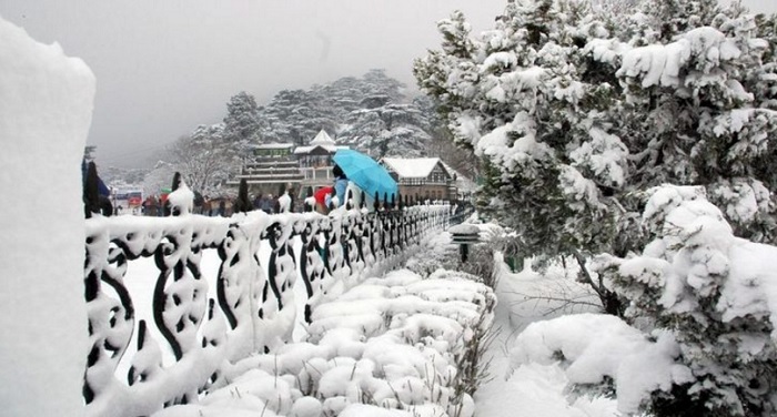 snowfall11 हिमाचल में ठंड ने तोड़े सभी रिकार्ड : कई शहरों में न्यूनतम पारा माइनस , चला बर्फीला तूफ़ान