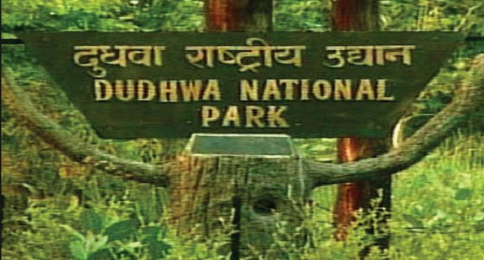 12 दुधवा नेशनल पार्कः कभी था आकर्षण का केंद्र, और अब है बुरा हाल