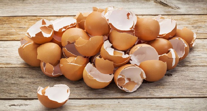 egg बेकार नहीं काम का है अंडे का छिलका