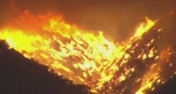 fire 2 पंजाब-हरियाणा सीमा पर तेल टैंकर में आग से हड़कंप