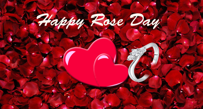 valentine rose day 1 गुलाब का फूल देकर करें इजहार-ए-मोहब्बत