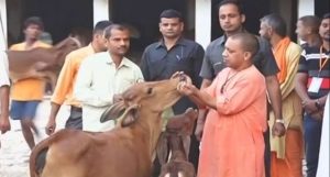 yogi adityanath with cow यूपी: पहली बार जन्माष्टमी के अवसर पर होगी गो पूजा, प्रदेश भर में सजाई जाएंगी गौशालाएं, जन्माष्टमी को अलग तरह से मानाया जाएगा