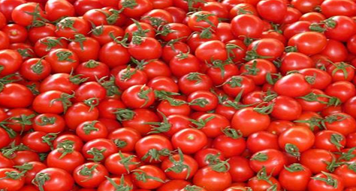 tomato, prices, Pomegranate, left, behind, gst, rate, vegetables