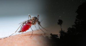 dengue बच्‍चों में दिखे ये लक्षण, तो करवाएं इलाज, हो सकता है डेंगू