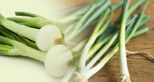 spring onion अगर गर्मियों में लू से बचना है तो बनाएं प्याज का शरबत, ये है विधि