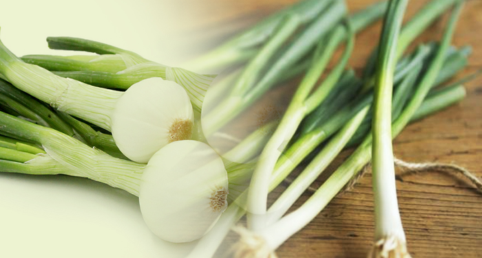 spring onion हरी प्याज का सेवन डायबिटीज के मरीजों के लिए रामबाण औषधि बना