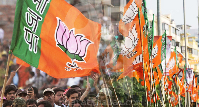 BJP गुजरात चुनाव से पहले राज्य में बजा बीजेपी का डंका, उपचुनाव में जीती 7 में से 5 सीट