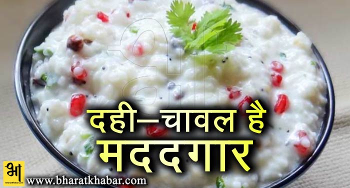 dahi chawal दही- चावल के ये है चौंकाने वाले फायदे