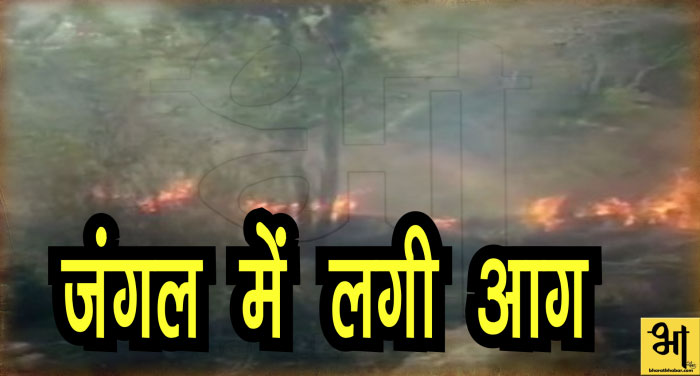 forest 00000 तमिलनाडु के थेनी जिले के जंगलों में लगी आग, 9 लोगों के मरने की खबर