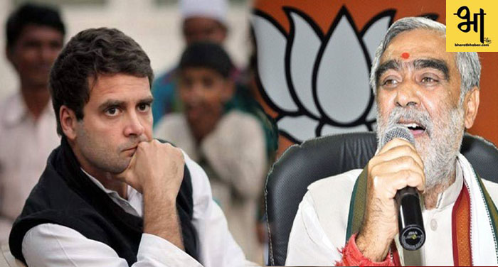 27 3 बीजेपी नेता अश्विनी चौबे ने राहुल गांधी को बताया 'गूंगा', बोले- चूहे-बिल्ली पीएम मोदी का कुछ नहीं बिगाड़ सकते