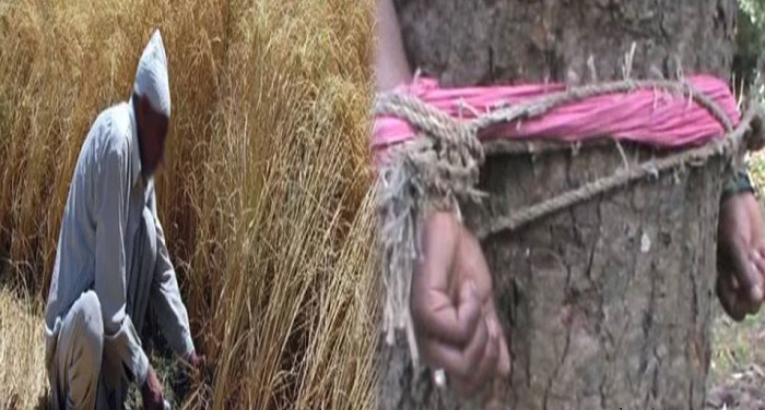 bandaiu यूपी के बदायूं जिले में गेहूं काटने से इनकार करने पर दलित की पेड़ से बांधकर पिटाई