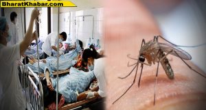 dengue mosquito 1 बच्‍चों में दिखे ये लक्षण, तो करवाएं इलाज, हो सकता है डेंगू