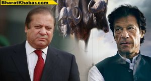 imran khan nawaz sharif इमरान खान के विरुद्ध अविश्वास प्रस्ताव खारिज, राष्ट्रपति से की संसद भंग करने की सिफारिश