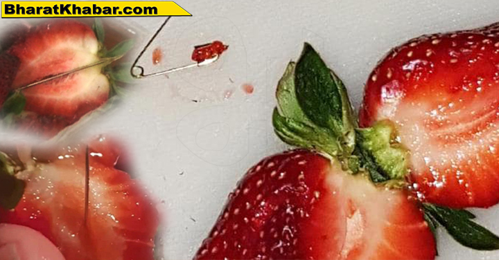 strawberry ऑस्ट्रेलिया में स्ट्रॉबेरी को लेकर डर, सिलाई वाली सुई निकलने की मिली शिकायत