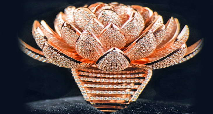 Untitled 189 मेक इन इंडिया से प्रभावित होकर एक शख्स ने बनाई 6690 हीरे से जड़ी अंगूठी, गिनीज बुक हुई शामिल