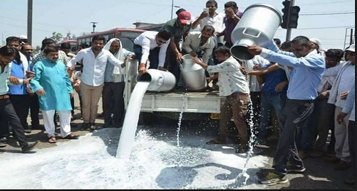 महाराष्ट्र में दूध के दाम बढ़ाने की मांग को लेकर दूध उत्पादक किसान आंदोलन पर उतरें