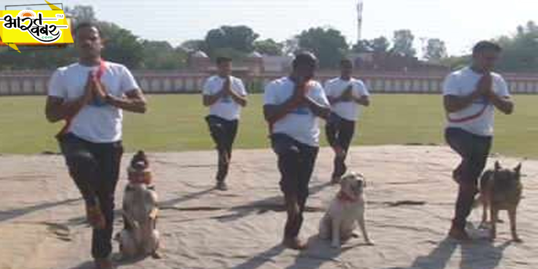 yog डॉग स्क्वॉड को 'न्यू इंडिया' का कैप्शन देकर राहुल ने बनाया पीएम का मजाक