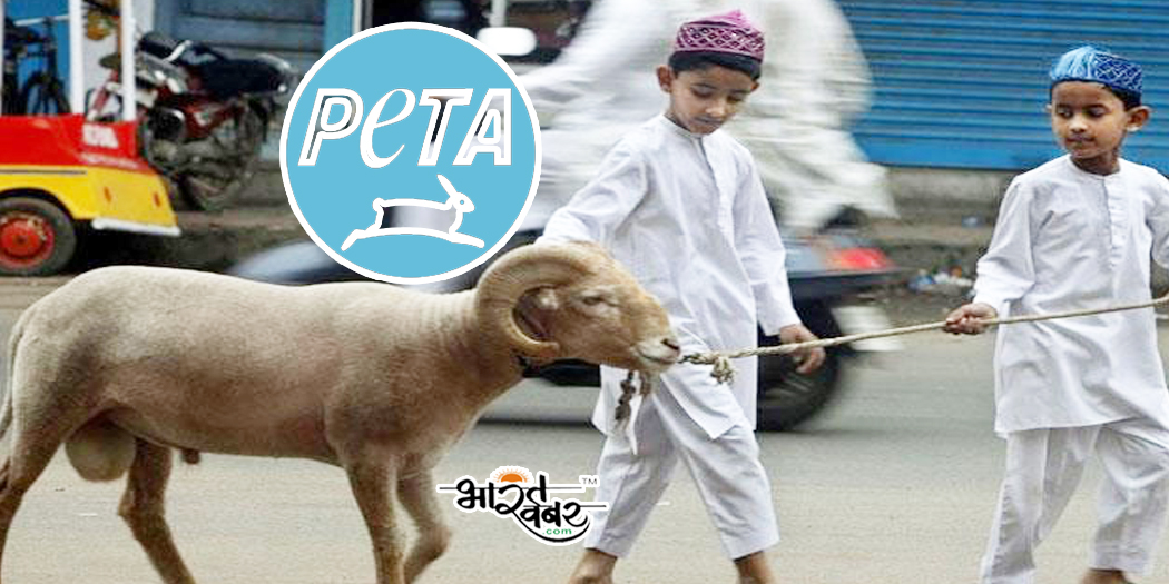 peta bakarid eid बकरीद पर क्रूर हत्या न करने का अनुरोध, पेटा ने जारी किया शाकाहारी होने का निवेदन