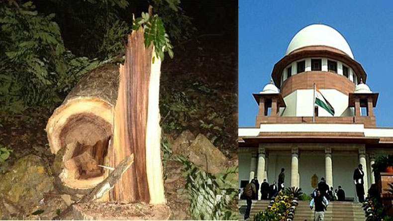 Aarey Protest Supreme Court Verdict मुंबई की आरे कॉलोनी में पेड़ों की कटाई पर सुप्रीम कोर्ट का बड़ा फैसला, जाने क्या कहा