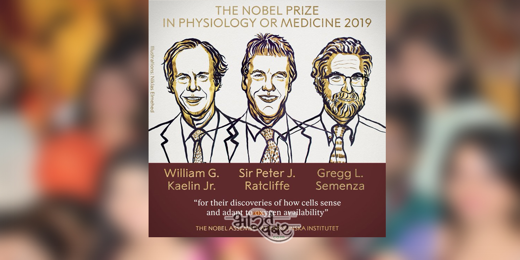 nobel price of india विलियम केलिन, सर पीटर रैटक्लिफ और ग्रीग सेमेंजा शेयर को मिला मेडिसिन में नोबेल पुरस्कार