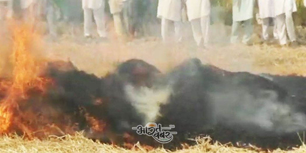 paddy burn mal मल जलाने की जाँच करने के लिए 8,000 गाँवों में बनाये गये नोडल अधिकारी