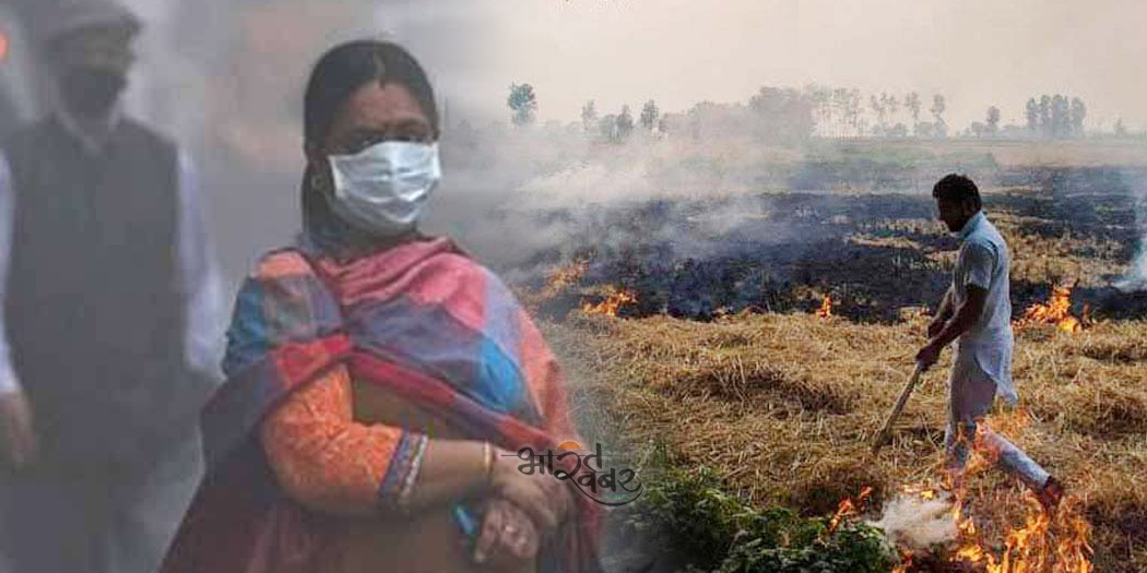 parali dhuan पराली से फैलता प्रदूषण: 5 नवम्बर तक दिल्ली में स्कूल-कन्स्ट्रक्शन हुआ ठप