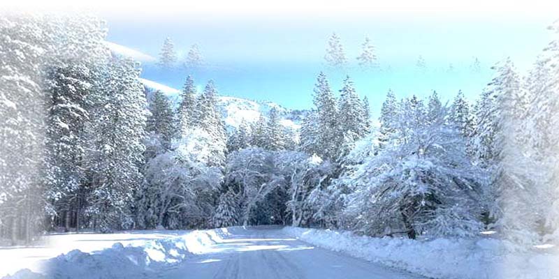 crismas शिमला और हिमाचल प्रदेश में कहीं भी नहीं होगा सफेद क्रिसमस