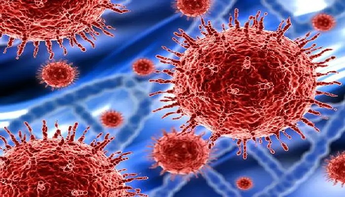कोरोना वायरस पिछले 24 घंटे में चीन में सिर्फ एक मामला कोरोना पॉजिटिव आया, अमेरिका में आंकड़ा 100 के पार