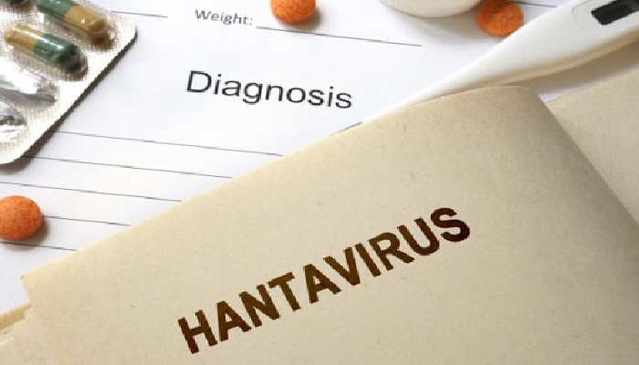 हंटावायरस चीन में हैनटवायरस से मनुष्य की मौत, आपको वायरस के बारे में जानने की जरूरत, और यह कैसे फैलता है