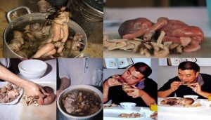 baby 1 कोरोना के बीच चीन से आयी दिल दहला देने वाली खबर,चीनी इंसानी बच्चों के भ्रूण का पी रहे सूप