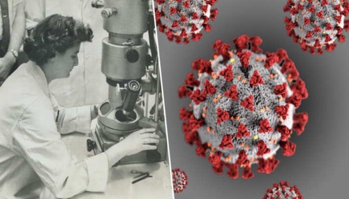 जून अल्मीडा 56 साल पहले माइक्रोस्कोप में देखा गया था कोरोना वायरस, इस महिला वैज्ञानिक ने की थी खोज