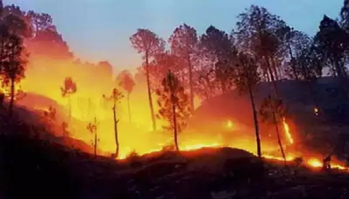 uttrakhand fire कोरोना वायरस महामारी के बीच लगी उत्तराखंड के जंगलों में आग, सोशल मीडिया पर फोटो हो रही वायरल
