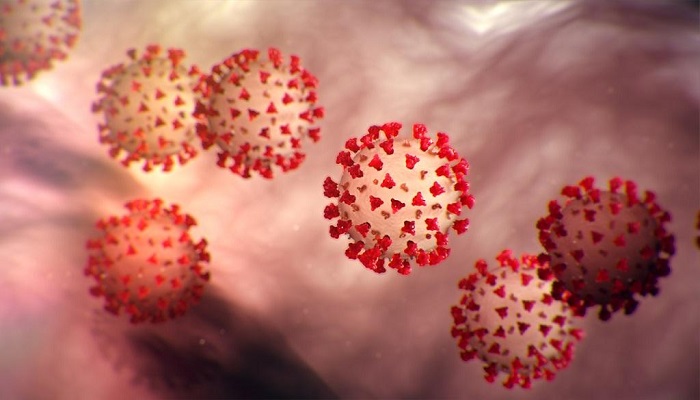 कोरोना वायरस 2 देश में नहीं रूक रही कोरोना की गति, संक्रमित लोगों का आंकड़ी पहुंचा 226770