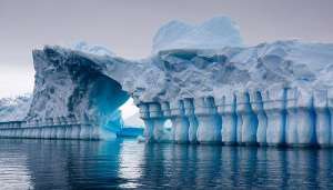antartika 2 अंटार्कटिका में मिला दुनिया का सबसे बड़ा और पुराना अंडा, देखकर लोगों की फटी आंखें..