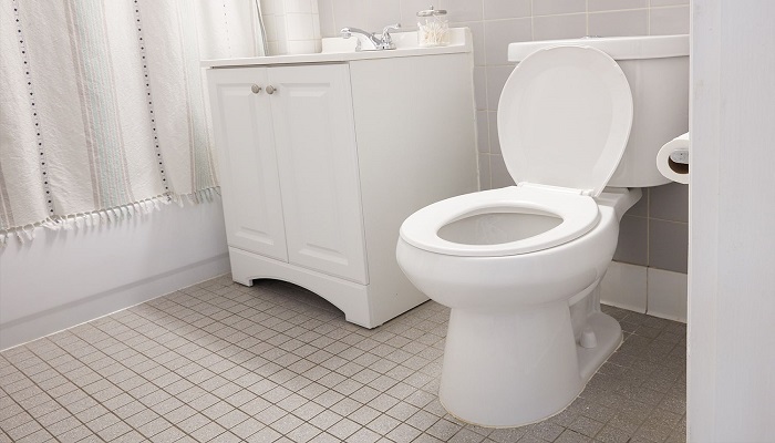 toilet 1 सुनहेरा मौका चांद पर टॉयलेट बनाएं और नासा से पाएं लाखों..