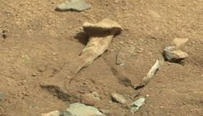 bone 1 मंगल ग्रह पर मिल रहीं इंसान की हड्डियों में कितनी सच्चाई?