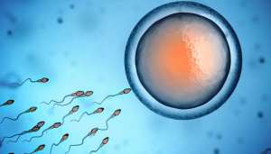 sperm 2 पुरूषों के बांझपन को दूर कर देंगे ये उपाय. जानिए कैसे बढ़ाएं शुक्राणु?