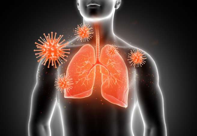 lungs फेफड़ें होंगे मजबूत तो बढ़ेगी कोरोना की लड़ने की क्षमता, करें ये उपाय